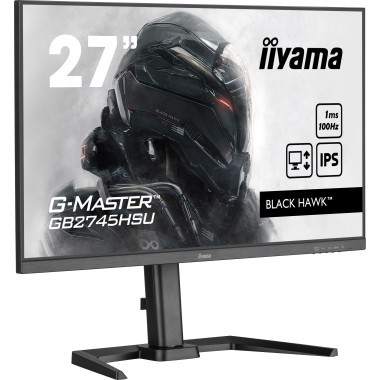 IIYEC045762 27p IPS FHD 1ms 300cd m² HDMI DP 2xUSB 2x2W Règlable Noir