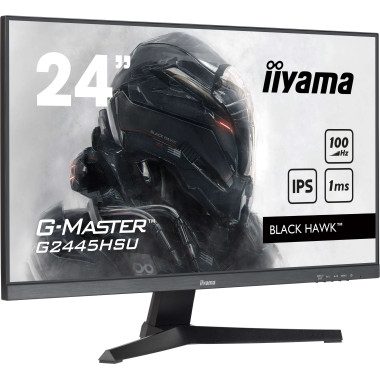 IIYEC045728 24p IPS FHD 1ms 300cd m² HDMI DP 2xUSB 2x2W Noir