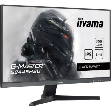 IIYEC045728 24p IPS FHD 1ms 300cd m² HDMI DP 2xUSB 2x2W Noir