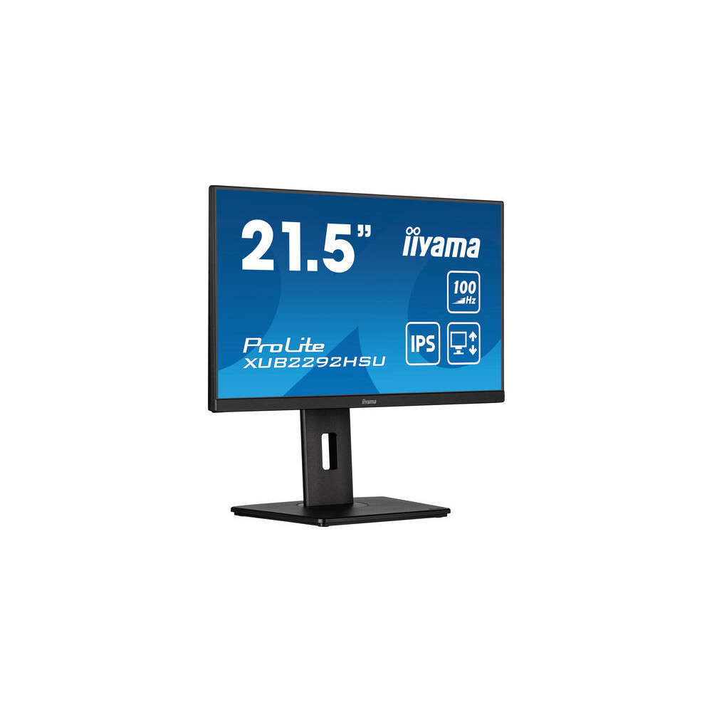 IIYEC043742 21.5p IPS FHD 0.4ms 250cd m² HDMI DP 4xUSB 2x2W Noir