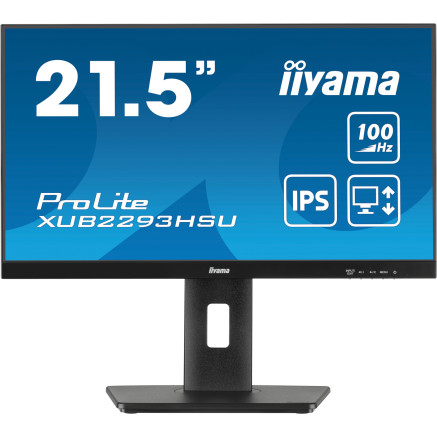 IIYEC043745 21.5p IPS FHD 1ms 250cd m² HDMI DP 2xUSB 2x2W Règlable Noir