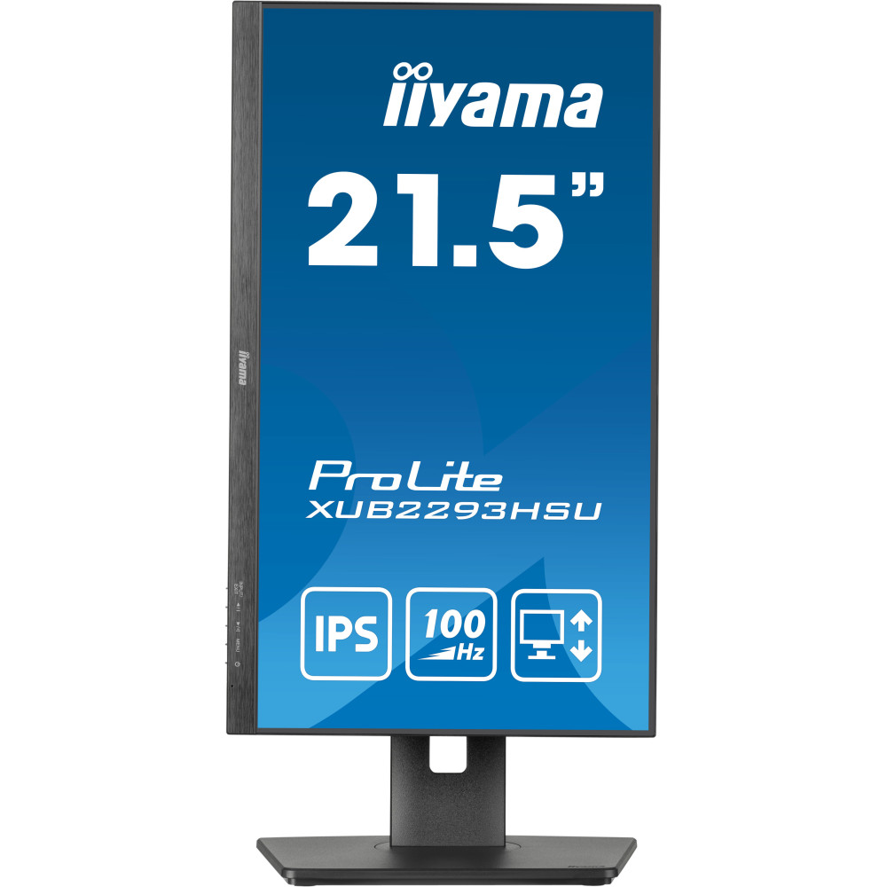 IIYEC043745 21.5p IPS FHD 1ms 250cd m² HDMI DP 2xUSB 2x2W Règlable Noir