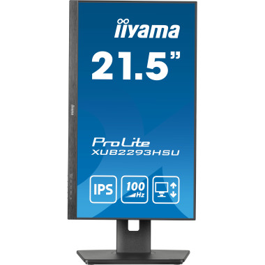 IIYEC043745 21.5p IPS FHD 1ms 250cd m² HDMI DP 2xUSB 2x2W Règlable Noir