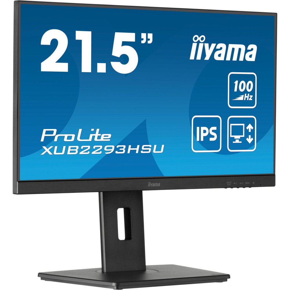 IIYEC043745 21.5p IPS FHD 1ms 250cd m² HDMI DP 2xUSB 2x2W Règlable Noir