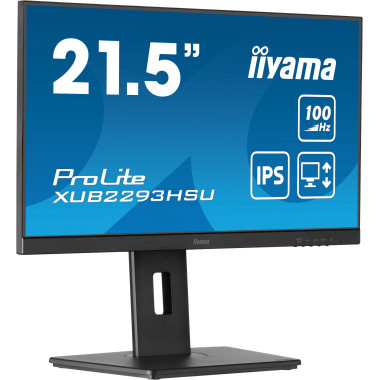 IIYEC043745 21.5p IPS FHD 1ms 250cd m² HDMI DP 2xUSB 2x2W Règlable Noir