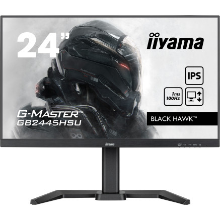 IIYEC043761 24p IPS FHD 1ms 250cd m² HDMI DP 2xUSB 2x2W Règlable Noir