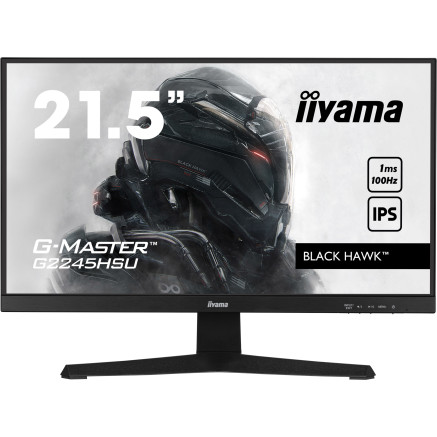 IIYEC043760 22p IPS FHD 1ms 250cd m² HDMI DP 2xUSB 2x2W Noir
