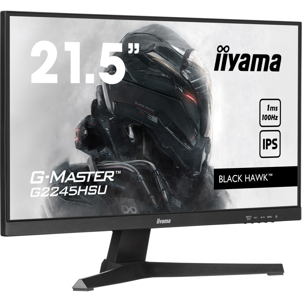 IIYEC043760 22p IPS FHD 1ms 250cd m² HDMI DP 2xUSB 2x2W Noir