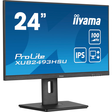 IIYEC043343 23,8p iPS FHD 1ms 250cd m² HDMI DP 2x2W 2xUSB Règlable Noir