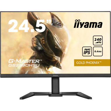 IIYEC042782 24.5p F-IPS FHD 240Hz 0,4ms 400cd m² HDMI DP 2x2W 2xUSB Règlable Noir