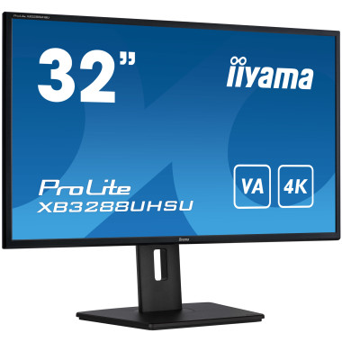 IIYEC041922 31.5p VA 4K 3ms 300cd m² 2HDMI-DP 2USB 2x3W Règlable Noir