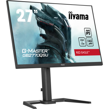 IIYEC040908 27p F-IPS 2560x1440 0.5ms 400cd m² HDMI DP 2xUSB 2x2W Règlable Noir