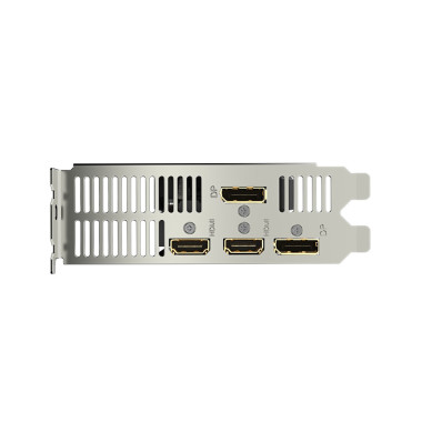 GIGCV043225 Carte Graphique - GIGCV043225 GIGABYTE RTX 4060 OC LOW PROFILE 8G - NVIDIA RTX 4060 - 8Go GDDR6 - 2x HDMI - 2x