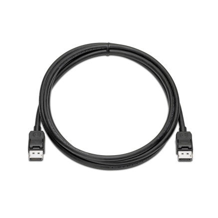 HP - Kit c ble d cran - DisplayPort (M) pour DisplayPort (M) - 2 m - pour Elite t655, Presence Small Space Solution with Zoom