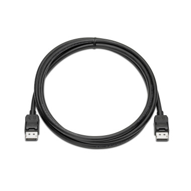 HP - Kit c ble d cran - DisplayPort (M) pour DisplayPort (M) - 2 m - pour Elite t655, Presence Small Space Solution with Zoom