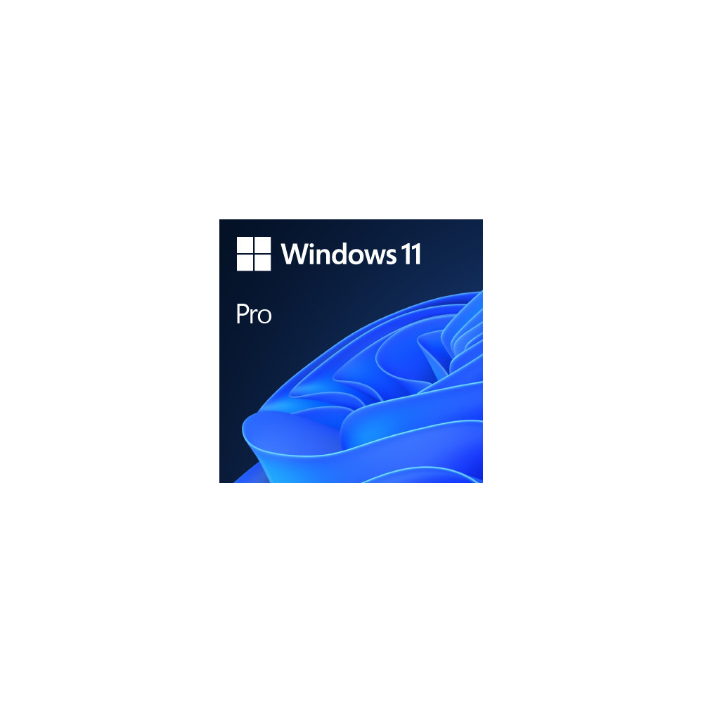 MICLG038290 WINDOWS 11 PRO 64Bit FR 1PK OEM DVD MICLG038290 WINDOWS 11 PRO 64Bit FR 1PK OEM DVD