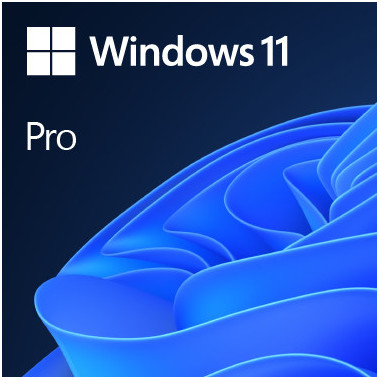 MICLG038290 WINDOWS 11 PRO 64Bit FR 1PK OEM DVD