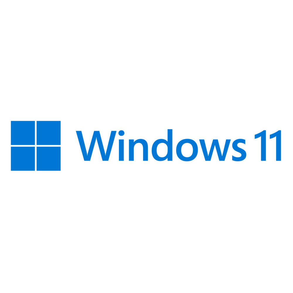 MICLG038290 WINDOWS 11 PRO 64Bit FR 1PK OEM DVD