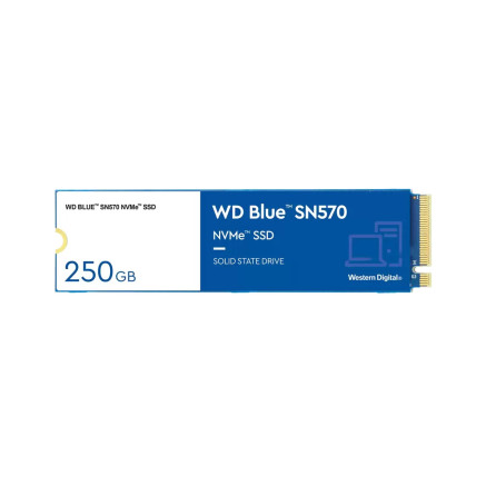 WESDD038296 WD Blue 250Go SN570 NVMe SSD WDS250G3B0C M.2 2280 PCI Express 3.0