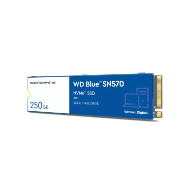 WESDD038296 WD Blue 250Go SN570 NVMe SSD WDS250G3B0C M.2 2280 PCI Express 3.0