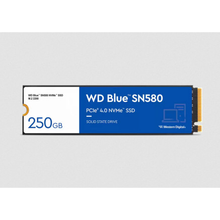 WESDD042842 WD Blue 250Go SN580 NVMe SSD WDS250G3B0C M.2 2280 PCI Express 3.0