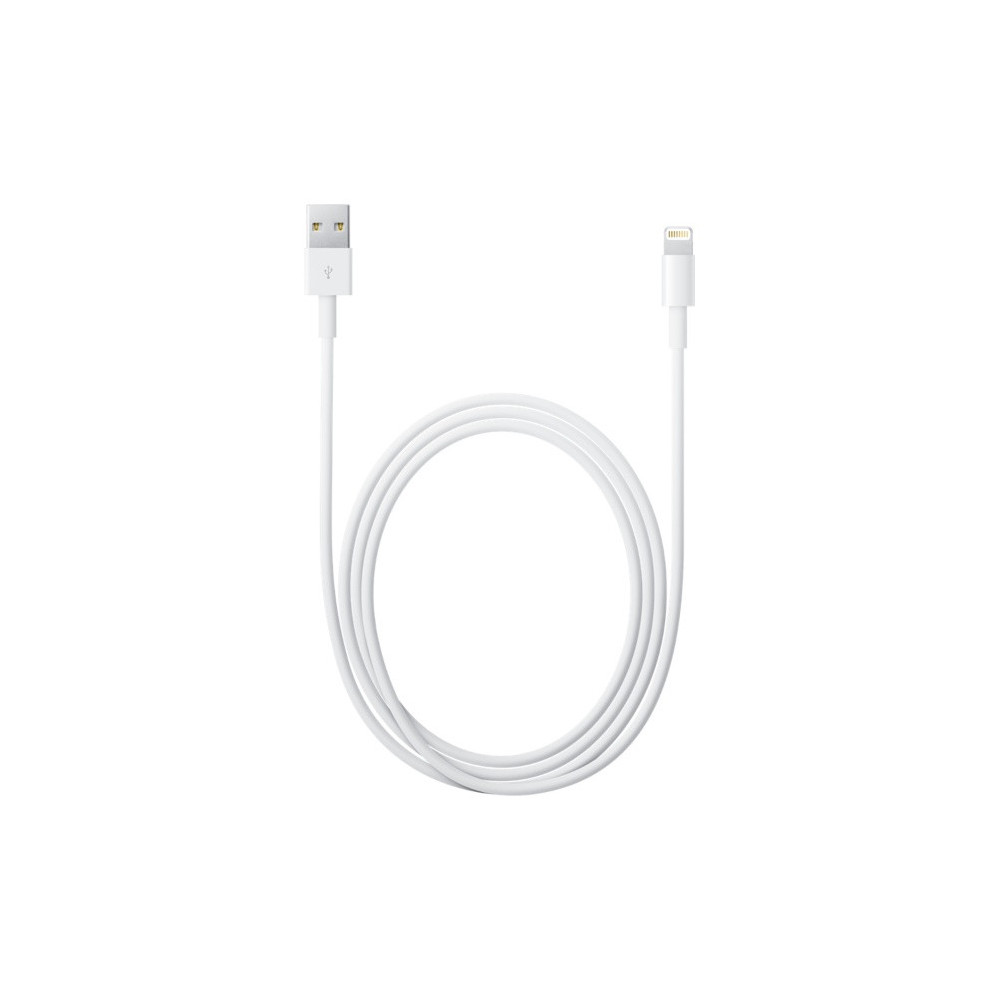 APLSY031693 APPLE Câble Lightning vers USB (2 m)