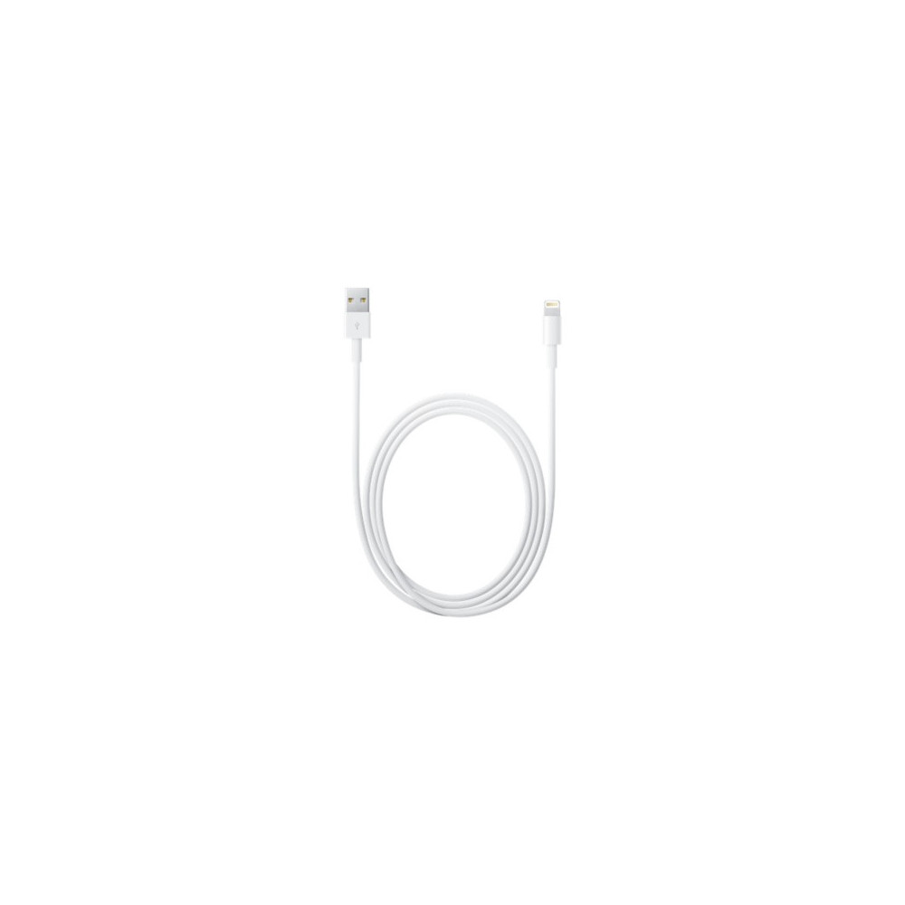 APLSY031693 APPLE Câble Lightning vers USB (2 m)
