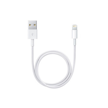 APLSY031697 APPLE Câble Lightning vers USB (0.5 m)