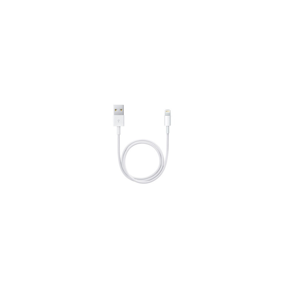 APLSY031697 APPLE Câble Lightning vers USB (0.5 m) APLSY031697 APPLE Câble Lightning vers USB (0.5 m)