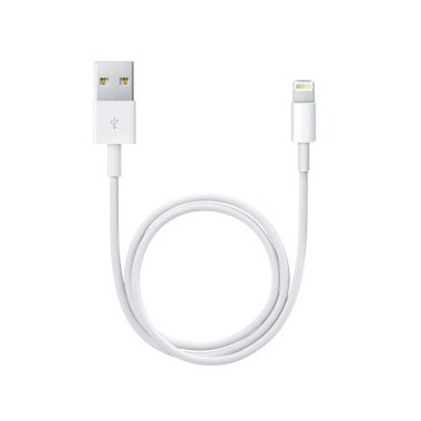 APLSY031697 APPLE Câble Lightning vers USB (0.5 m)