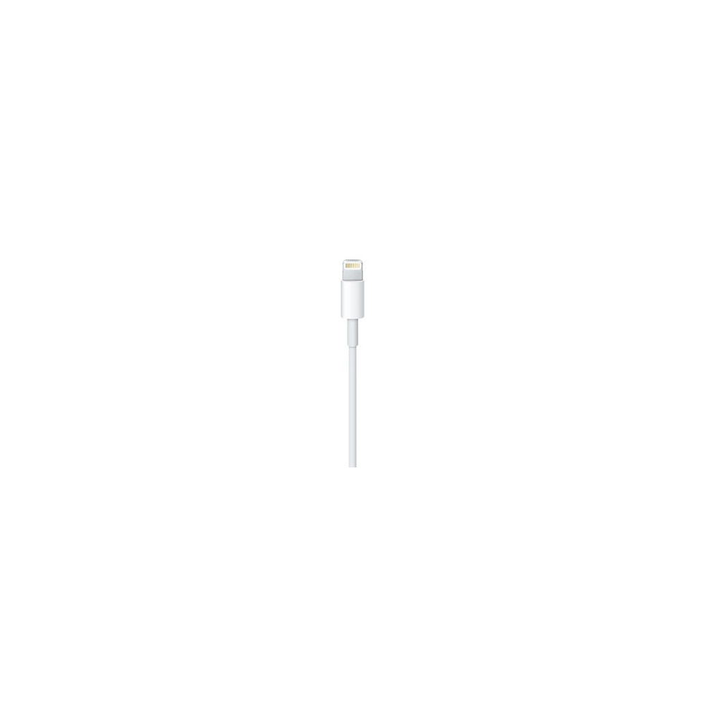 APLSY031697 APPLE Câble Lightning vers USB (0.5 m)