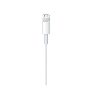 APLSY031697 APPLE Câble Lightning vers USB (0.5 m)
