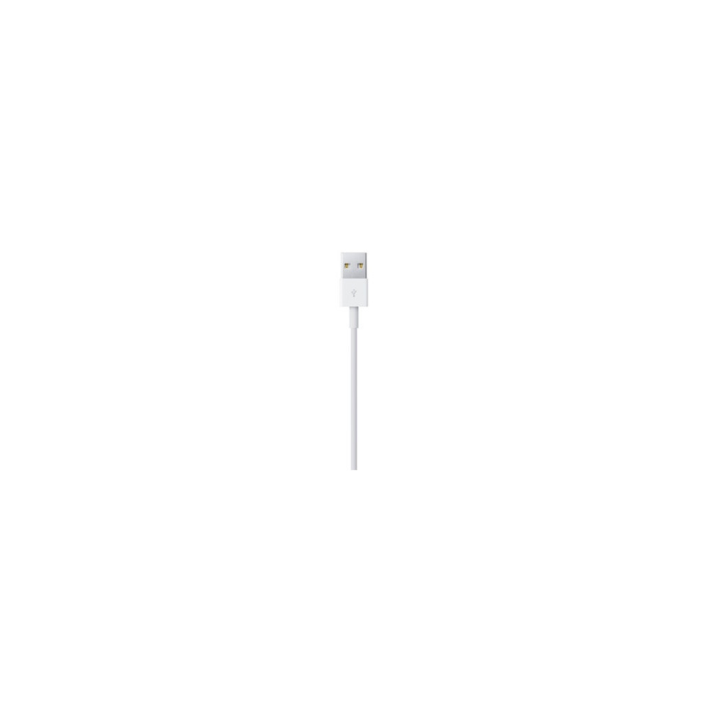APLSY031697 APPLE Câble Lightning vers USB (0.5 m)