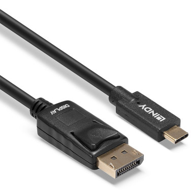 Lindy 43307 câble vidéo et adaptateur 10 m USB Type-C DisplayPort Noir