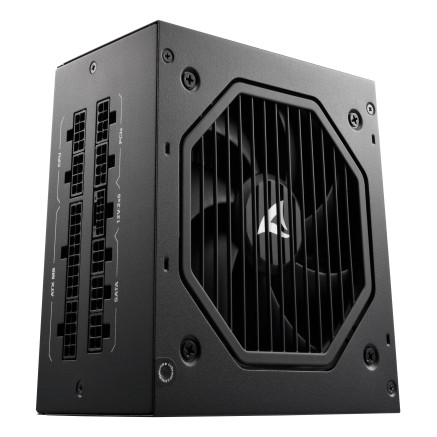 Sharkoon Rebel P20 unité d'alimentation d'énergie 1000 W 24-pin ATX ATX Noir