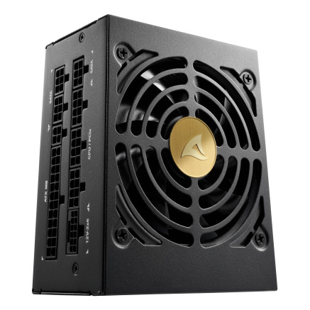 Sharkoon Rebel P20 SFX unité d'alimentation d'énergie 1000 W 24-pin ATX Noir