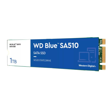 Western Digital Blue SA510 1 To M.2 Série ATA III