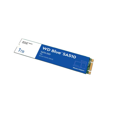 Western Digital Blue SA510 1 To M.2 Série ATA III
