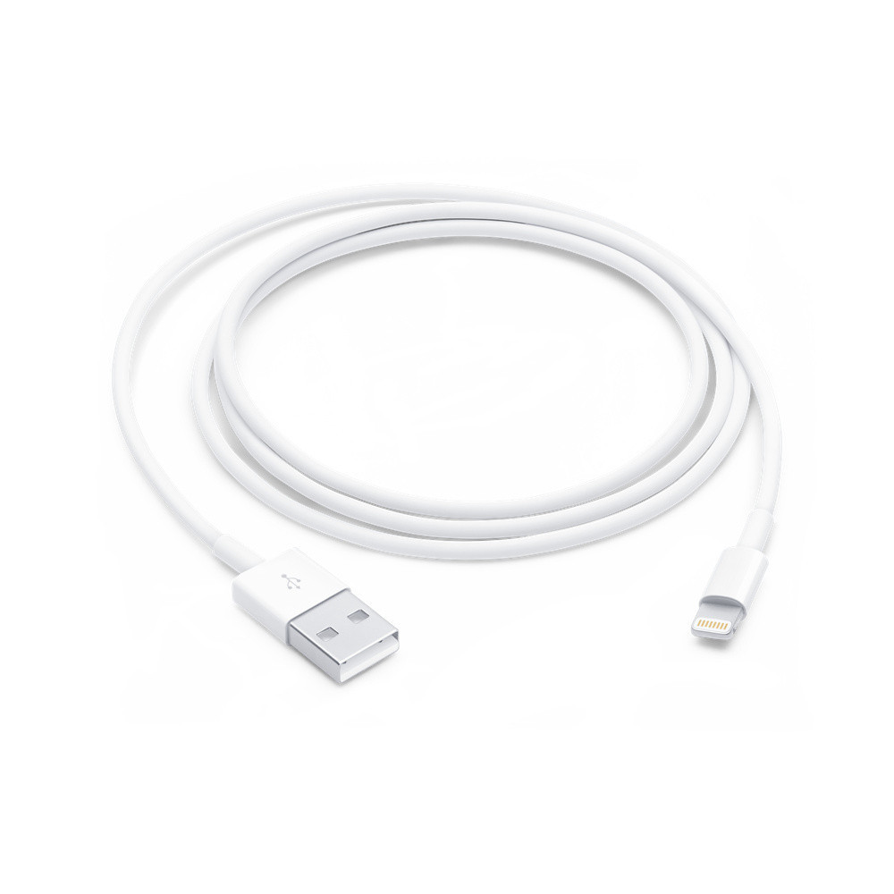 Apple Câble Lightning vers USB (1 m) Apple Câble Lightning vers USB (1 m)