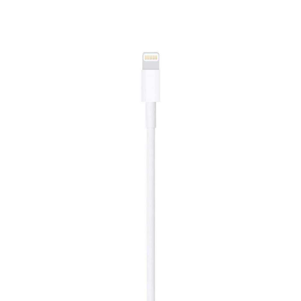 Apple Câble Lightning vers USB (1 m)