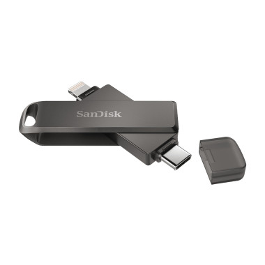 SanDisk iXpand lecteur USB flash 256 Go USB Type-C   Lightning 3.2 Gen 1 (3.1 Gen 1) Noir