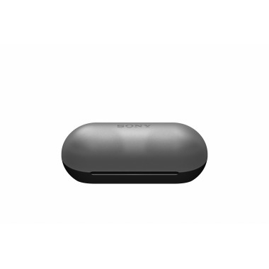 Sony WF-C500 Casque True Wireless Stereo (TWS) Ecouteurs Appels Musique Bluetooth Noir