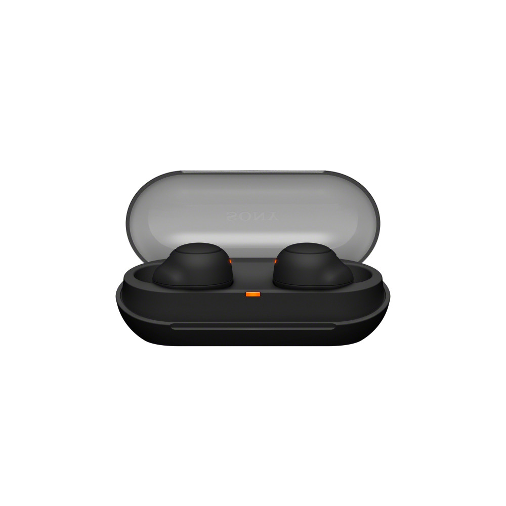 Sony WF-C500 Casque True Wireless Stereo (TWS) Ecouteurs Appels Musique Bluetooth Noir