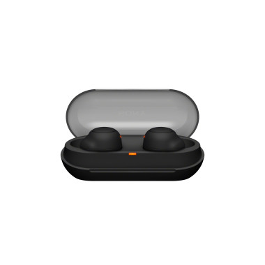 Sony WF-C500 Casque True Wireless Stereo (TWS) Ecouteurs Appels Musique Bluetooth Noir