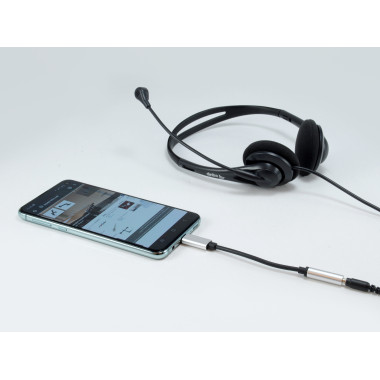 Equip 133474 câble de téléphone portable Noir, Argent 0,15 m USB-C 3,5 mm