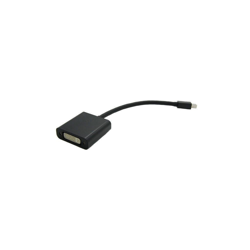 Adj 300-00053 câble vidéo et adaptateur 0,15 m Mini DisplayPort DVI-D Noir Adj 300-00053 câble vidéo et adaptateur 0,15 m Mini DisplayPort DVI-D Noir