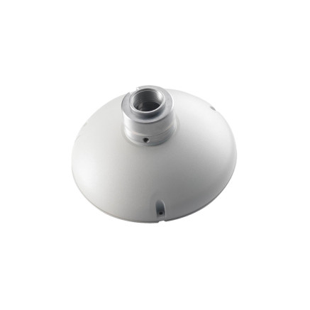 LevelOne CAS-2101 accessoire pour appareils photo montage