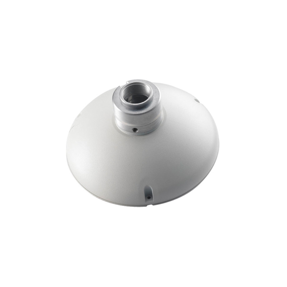 LevelOne CAS-2101 accessoire pour appareils photo montage LevelOne CAS-2101 accessoire pour appareils photo montage