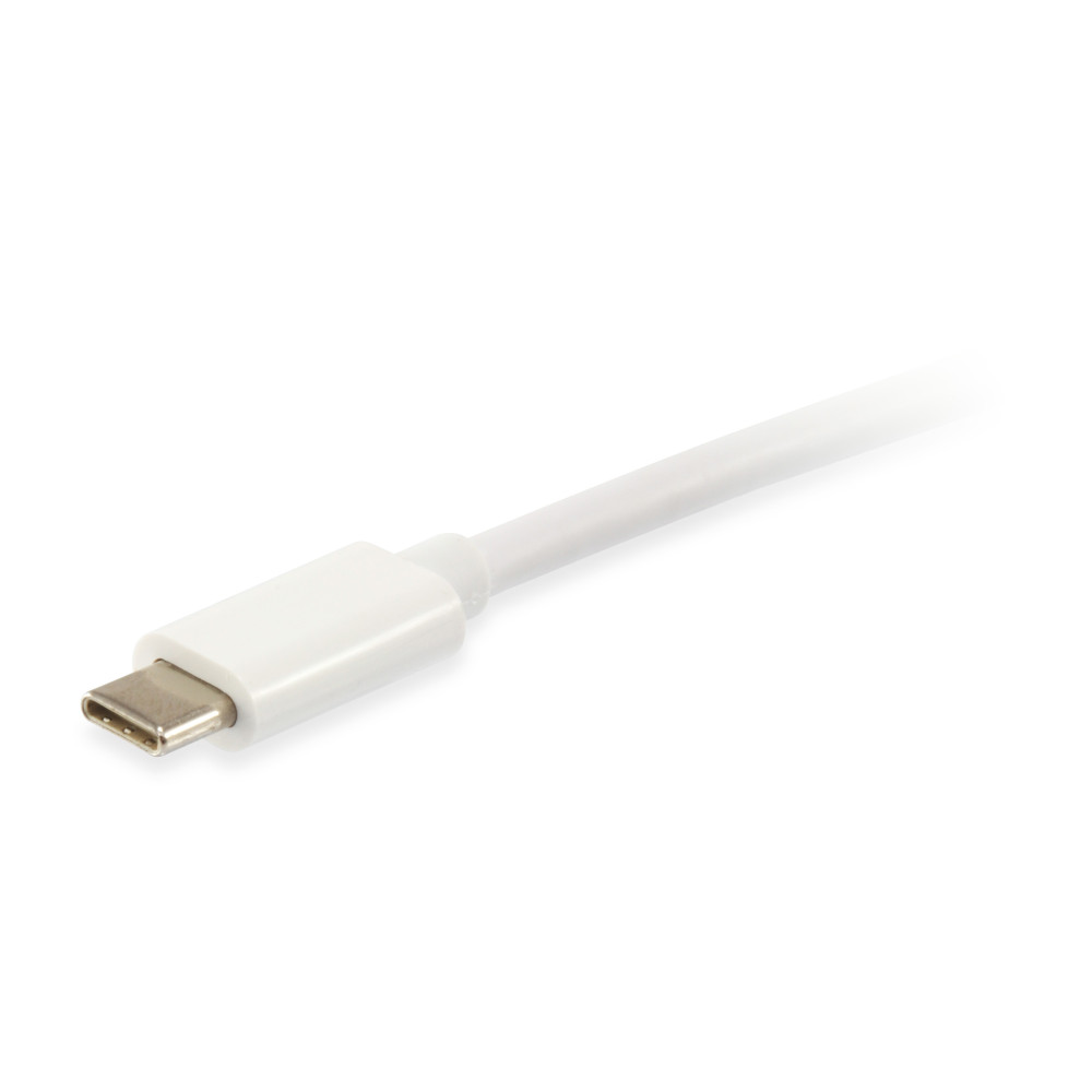 Equip 128351 câble USB USB 3.2 Gen 2 (3.1 Gen 2) 1 m USB C Blanc