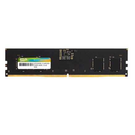 Silicon Power SP032GBLVU480F22 module de mémoire 32 Go 2 x 16 Go DDR5 4800 MHz ECC